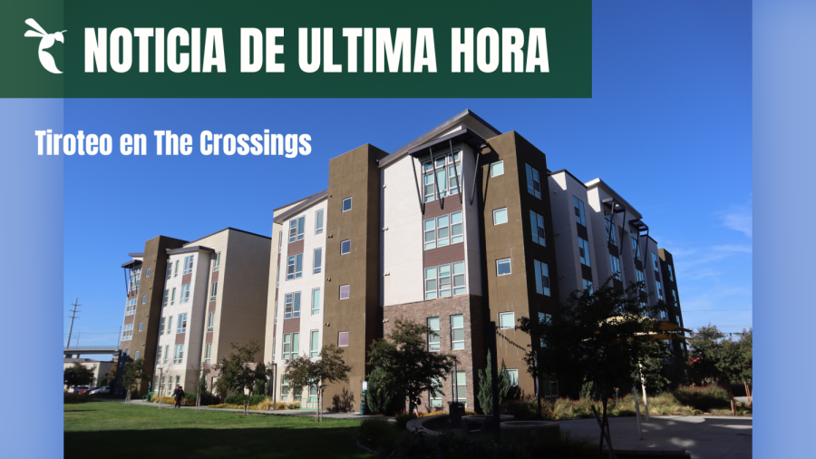Edificio 1 en el centro de vivienda estudiantil The Crossings el domingo 30 de octubre de 2022. El tiroteo tuvo lugar alrededor de las 2:15 a. m. en el cuarto piso después de que comenzó una pelea durante una fiesta de Halloween. (Gráfico creado en Canva).