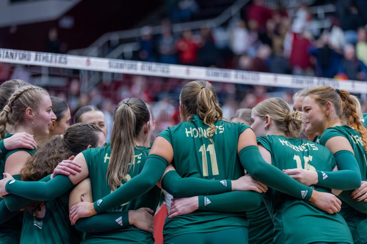 Sacramento State volleyball in a team huddle after their matchup against Stanford Friday, Dec. 6, 2024. Stanford swept the Hornets 3-0 in the first round of the NCAA Tournament. 